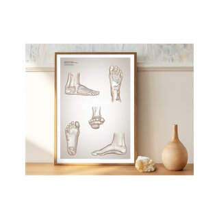 Reflexology poster poster