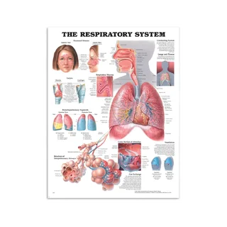 Breath poster poster