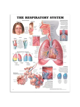 Breath poster poster