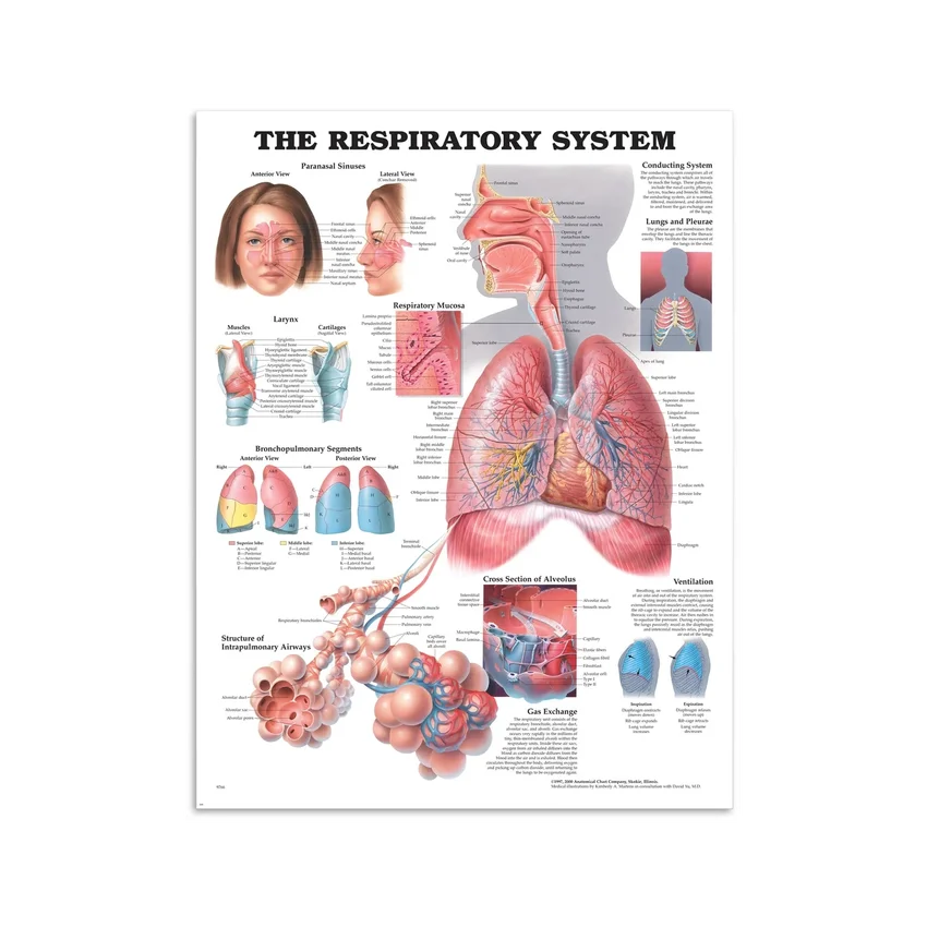 Breath poster poster
