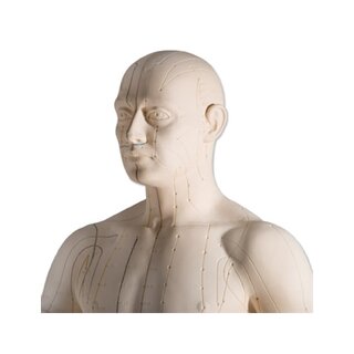 Acupuncture model 70 cm for professional use