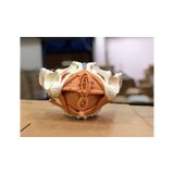 Female pelvis model with pelvic floor