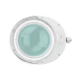 Elegant 6025 60 LED 5d LED Magnifying Lamp with Stand