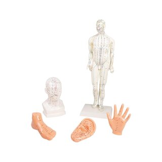 Chinese acupuncture set, 5 models