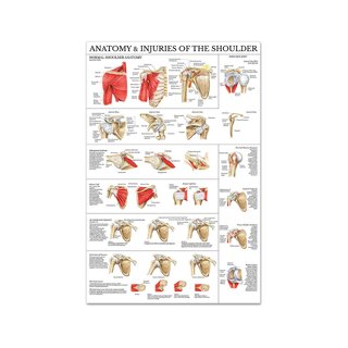 Shoulder & Elbow laminated poster 51x66 cm