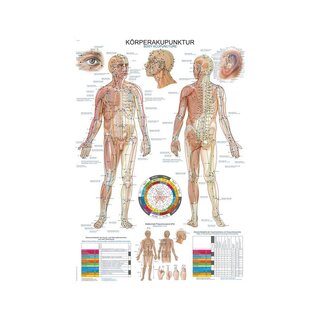 Acupuncture (acupuncture) Latin, English and German 50x70 cm