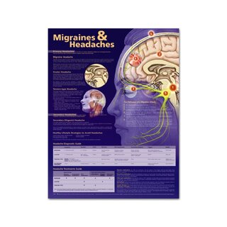 Teaching chart Migraine and Headache, laminated 51x66 cm (English)