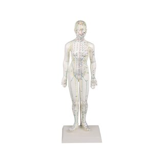 Chinese acupuncture figure, female