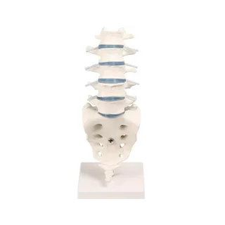 Lumbar support with stand