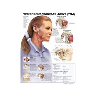 Temporomandibular joint disease (TMJ) laminated English