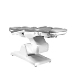 Electric foot care chair 870s 3 motors grey
