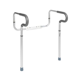 Toilet rail rwc