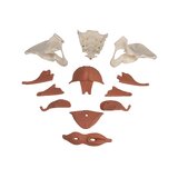 Female pelvis model with 12-part pelvic floor