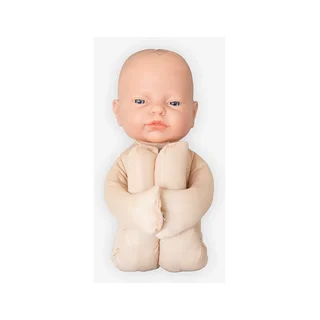 Fetal model Anatomical model