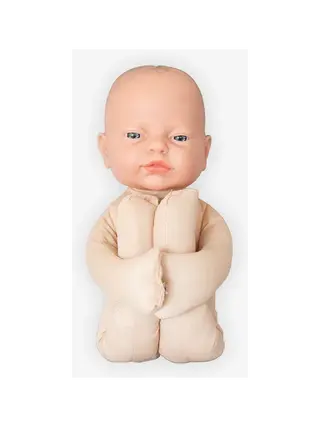 Fetal model Anatomical model