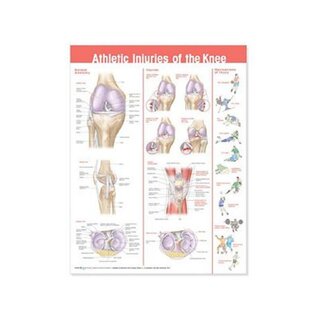 Athletic injuries of the knee