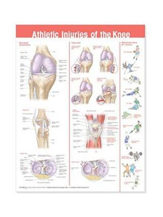 Athletic injuries of the knee