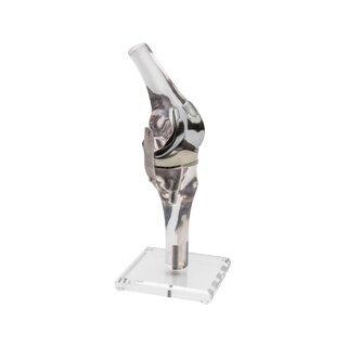 Knee model with endoprosthesis