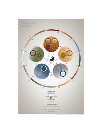 Poster series: The Essential Charts – 5-element theory & the organ clock