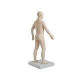 Acupuncture model 70 cm for professional use