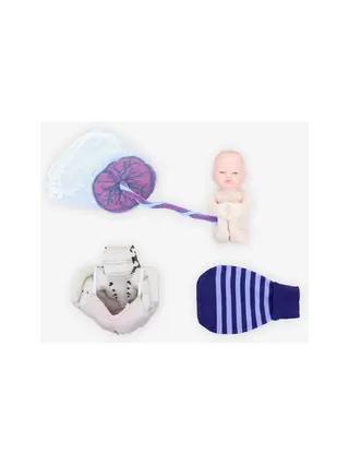Training package 1A for midwives - Fetal model set - White