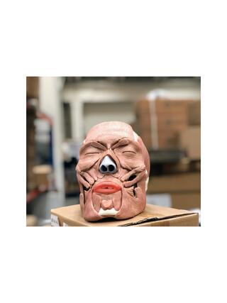 Adult skull with removable facial muscles in 38 parts