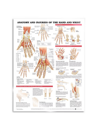 Poster - Anatomy and Pathology of the Hand and Wrist