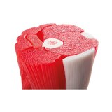Muscle knee model in 12 parts