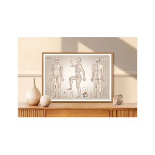 Acupuncture poster acupuncture points - 100x70 cm