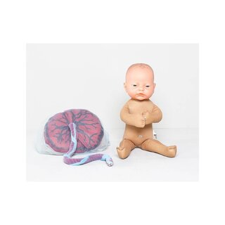 Foster doll with placenta and umbilical cord. Corresponds in size to a newborn