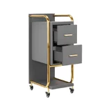 Gabbiano hairdressing assistant Solo gold - gray