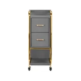 Gabbiano hairdressing assistant Solo gold - gray